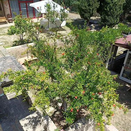 게스트하우스 Casale Don Ambrosio 실비마리나