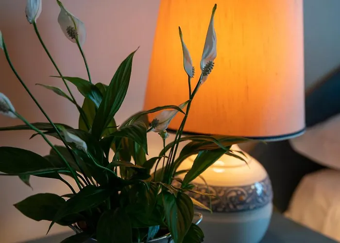 Casa de hóspedes Casale Don Ambrosio