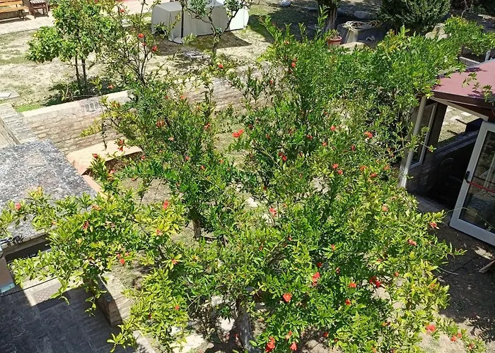 Casa de hóspedes Casale Don Ambrosio Silvi Marina